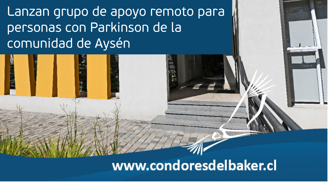 Grupo de apoyo remoto para personas con Parkinson de Aysén